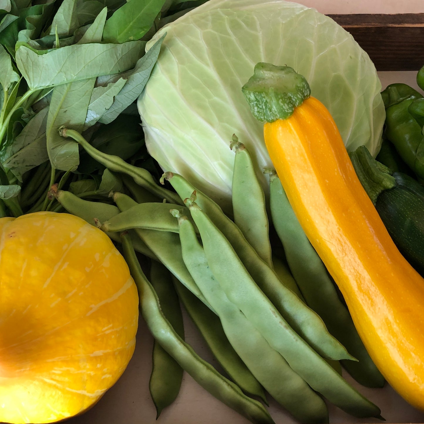 K02河口湖暮らし旬の野菜セット